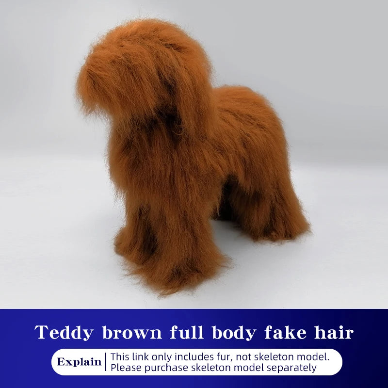 Teddy Pet simulation hair beauty fake beautician practicing dog standard Teddy full body fake head, skeleton model,pet groomer