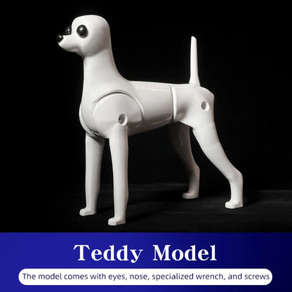 Teddy Pet simulation hair beauty fake beautician practicing dog standard Teddy full body fake head, skeleton model，pet groomer