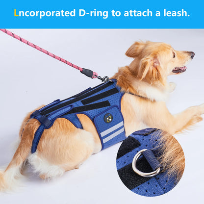 Coodeo Dog Back Brace For Back Pain Post Surgery Recovery Adjustable Support Harness With 8 Plastic Strips For Spine Protection