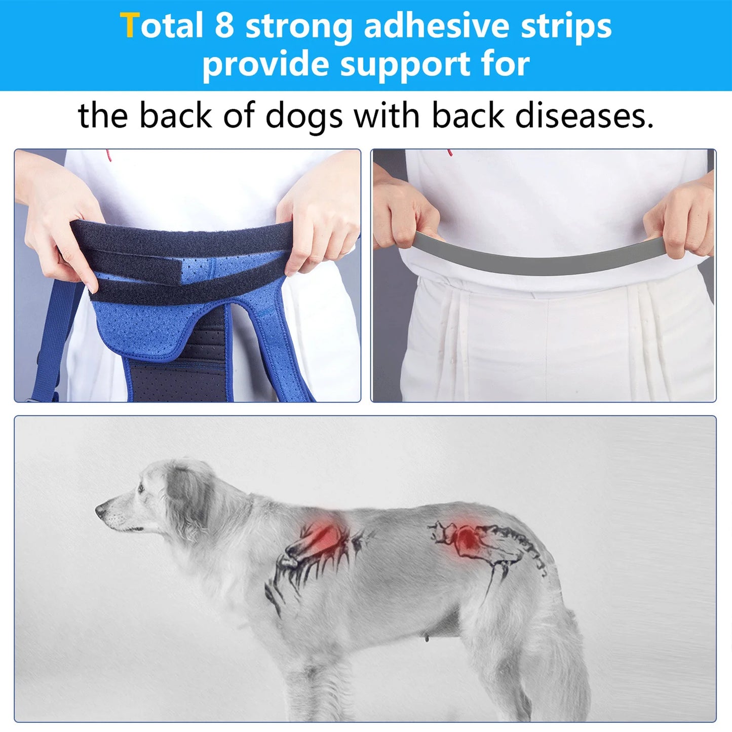 Coodeo Dog Back Brace For Back Pain Post Surgery Recovery Adjustable Support Harness With 8 Plastic Strips For Spine Protection