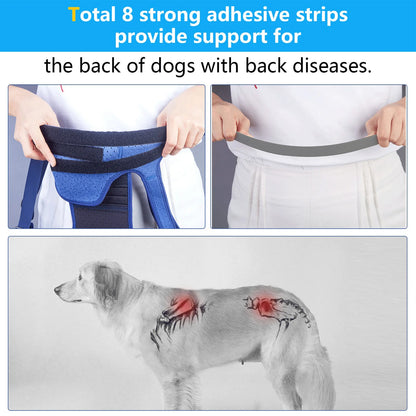 Coodeo Dog Back Brace For Back Pain Post Surgery Recovery Adjustable Support Harness With 8 Plastic Strips For Spine Protection