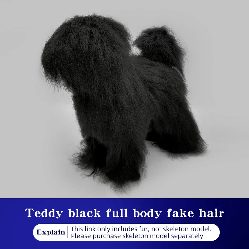 Teddy Pet simulation hair beauty fake beautician practicing dog standard Teddy full body fake head, skeleton model，pet groomer