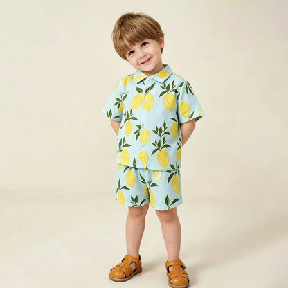 Summer Organic Cotton Baby Boy Suits Cute Printed Boy Short Sleeve Tshirt + Shorts Kids Clothes