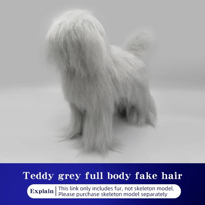 Teddy Pet simulation hair beauty fake beautician practicing dog standard Teddy full body fake head, skeleton model，pet groomer