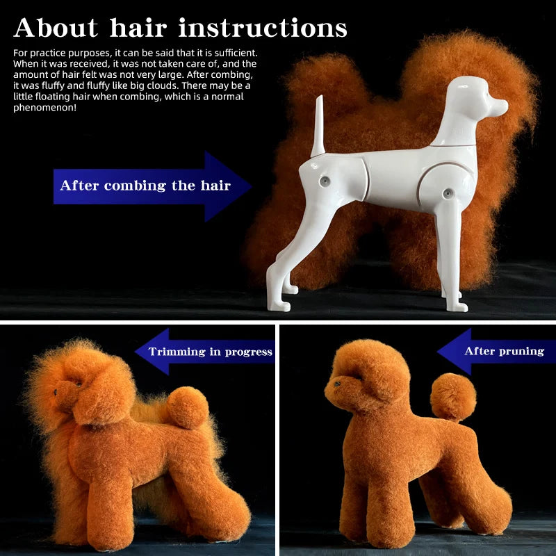Teddy Pet simulation hair beauty fake beautician practicing dog standard Teddy full body fake head, skeleton model，pet groomer