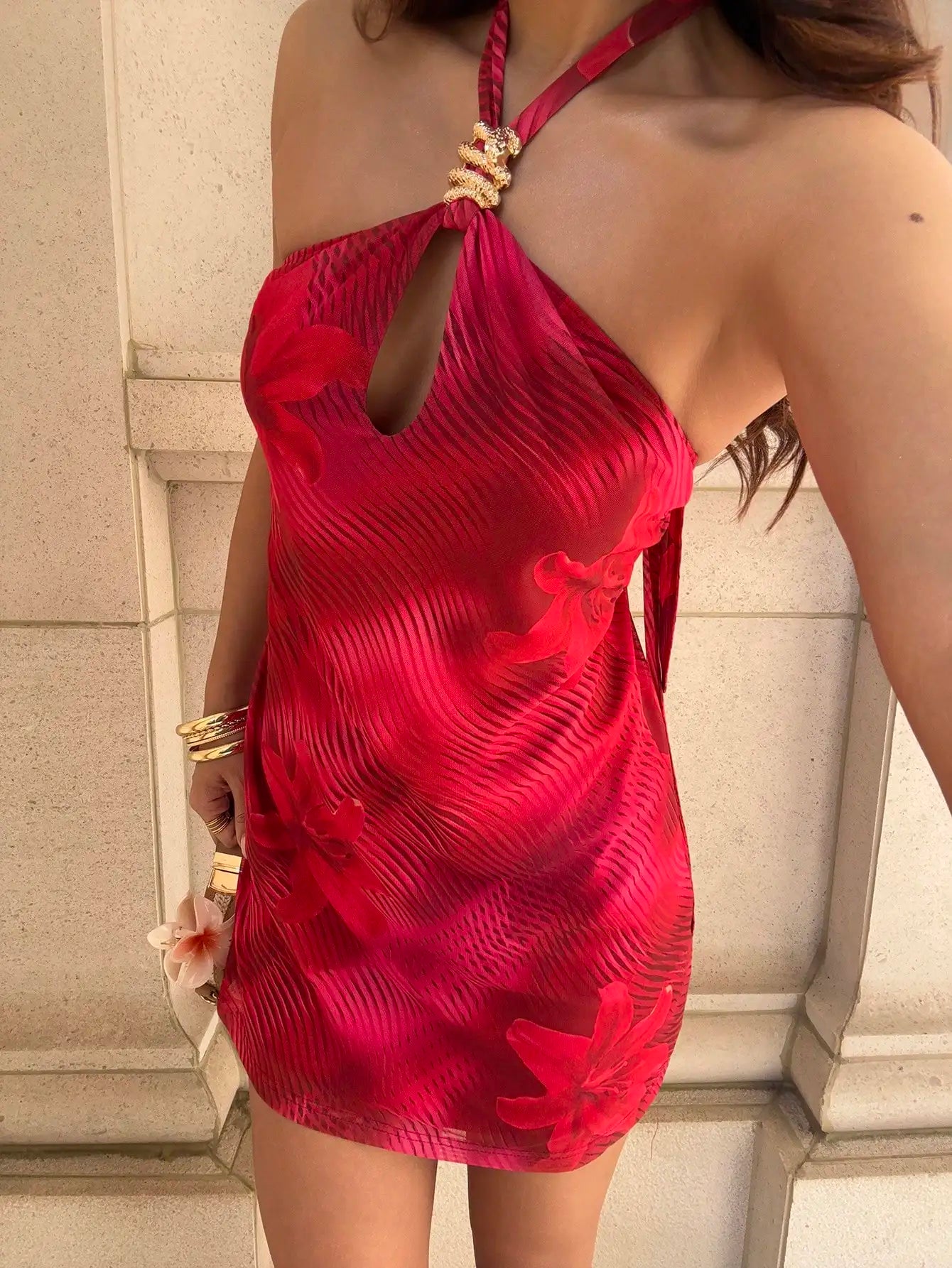 Red Mesh Floral Print Halter Backless A-Line Mini Dress For Women Spring Summer