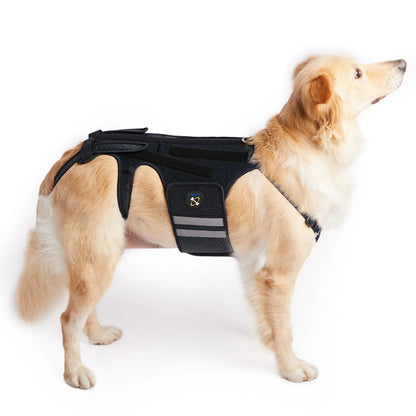 Coodeo Dog Back Brace For Back Pain Post Surgery Recovery Adjustable Support Harness With 8 Plastic Strips For Spine Protection