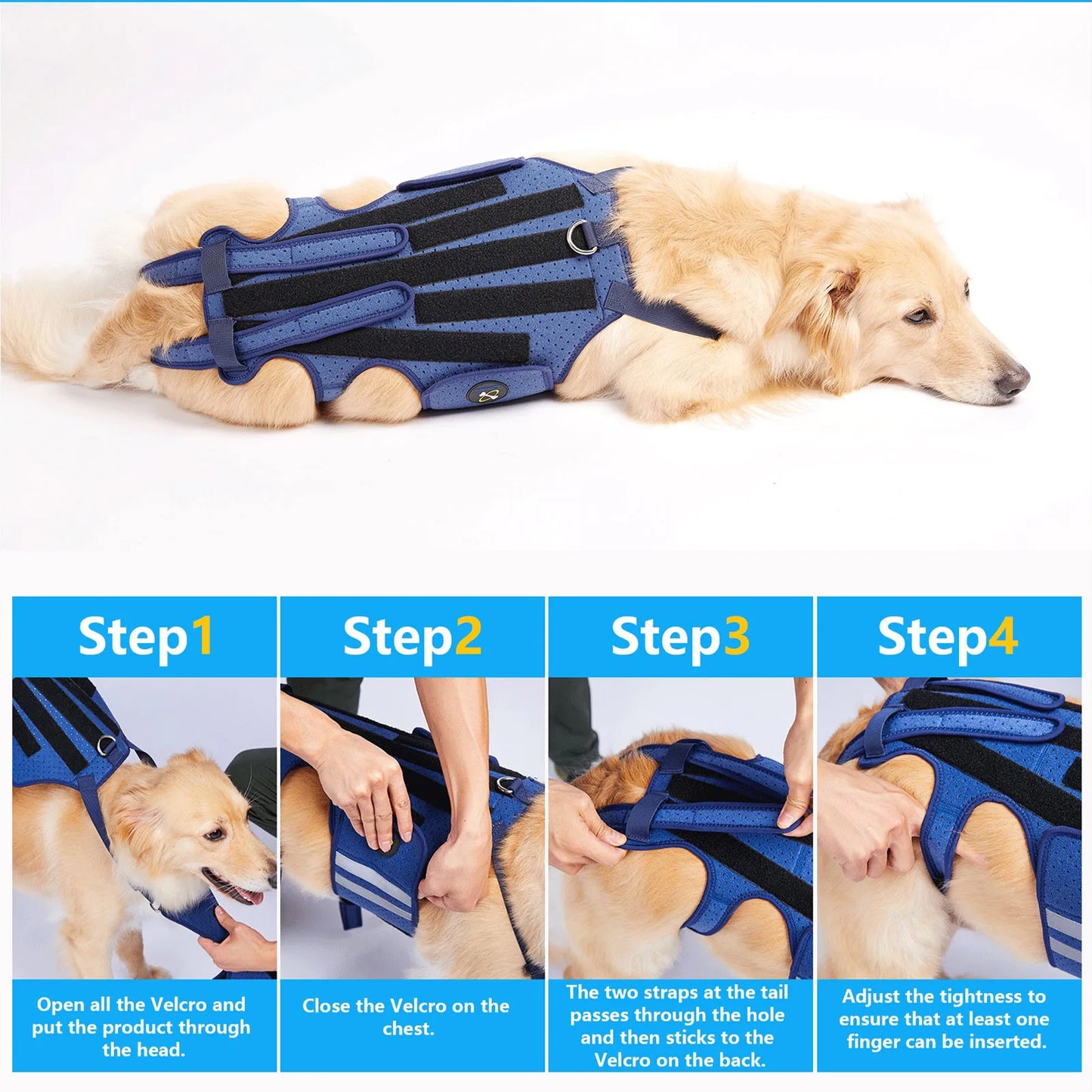Coodeo Dog Back Brace For Back Pain Post Surgery Recovery Adjustable Support Harness With 8 Plastic Strips For Spine Protection