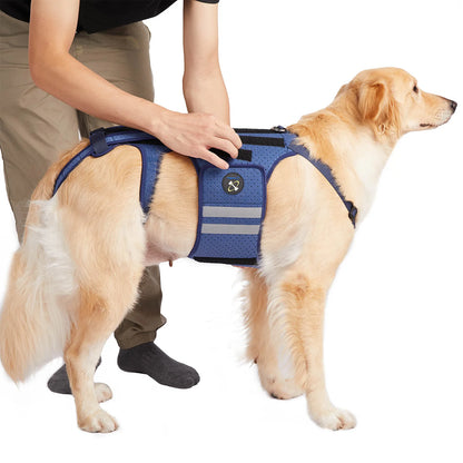 Coodeo Dog Back Brace For Back Pain Post Surgery Recovery Adjustable Support Harness With 8 Plastic Strips For Spine Protection