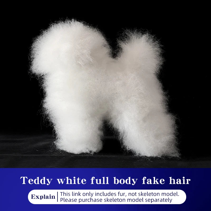 Teddy Pet simulation hair beauty fake beautician practicing dog standard Teddy full body fake head, skeleton model，pet groomer