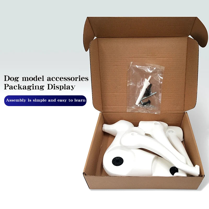 Teddy Pet simulation hair beauty fake beautician practicing dog standard Teddy full body fake head, skeleton model，pet groomer