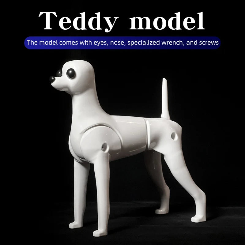 Teddy Pet simulation hair beauty fake beautician practicing dog standard Teddy full body fake head, skeleton model，pet groomer