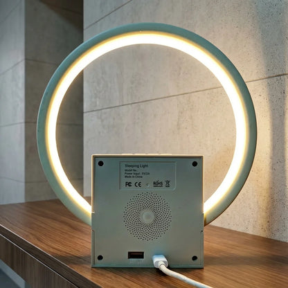 Digital Alarm Clock Sunrise Simulation Wake-up Light Bluetooth Speaker White Noise Machine Desk/Bedside Clock for Bedroom Office